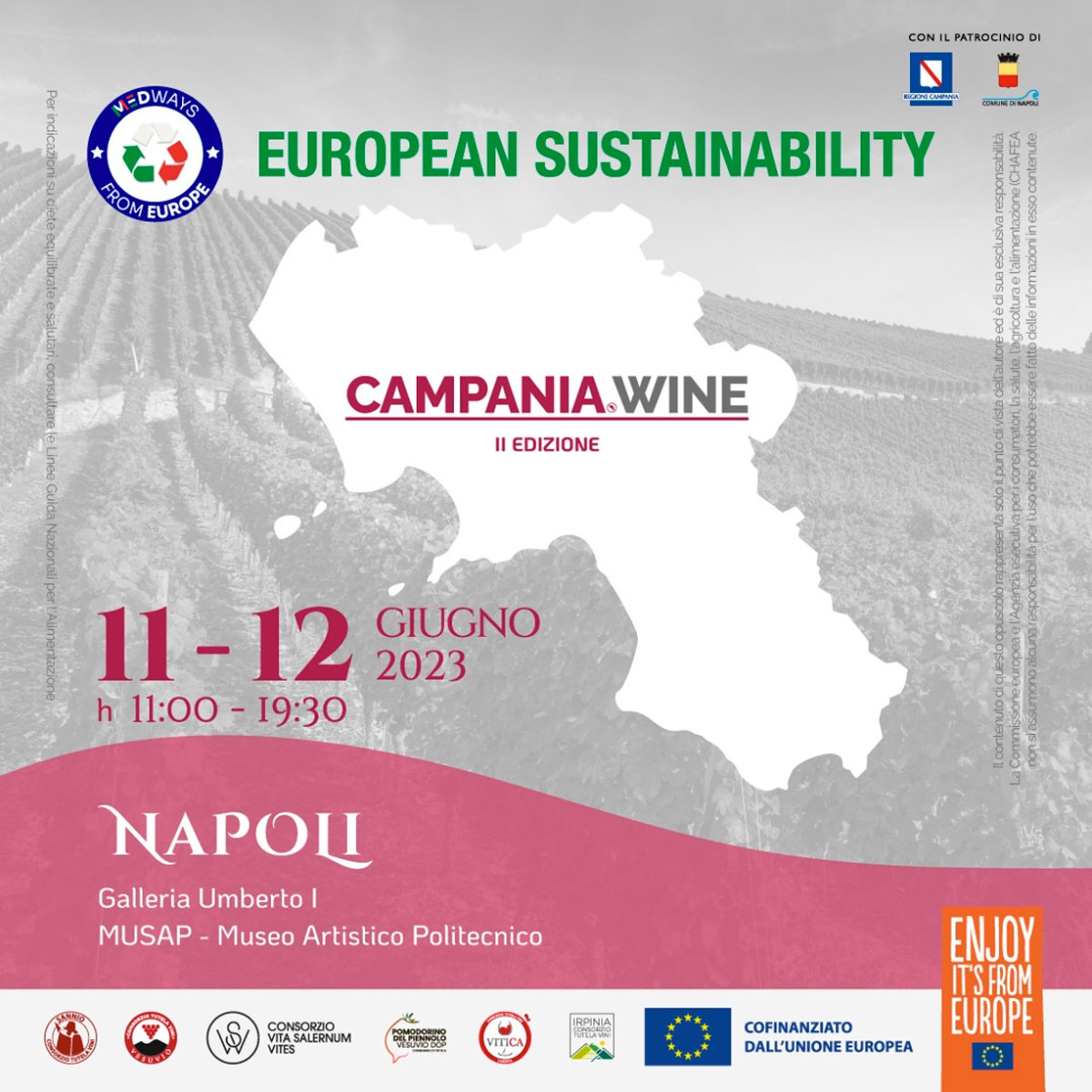 Locandina Campania Wine Seconda Edizione (Napoli)
