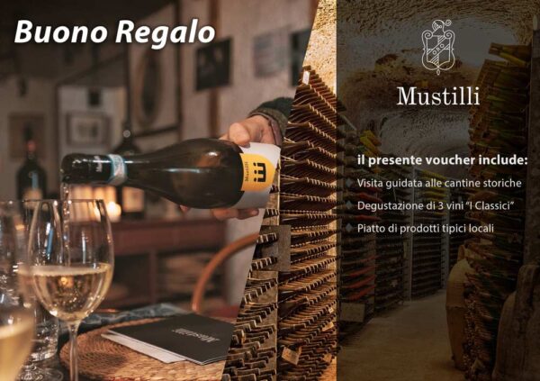 Voucher Regalo: visita guidata cantine storiche, degustazione di 3 vini "I Classici", piatto di prodotti tipici locali
